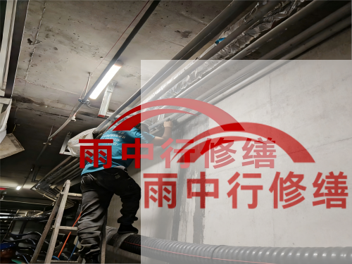 平顶山电网地下室堵漏案例