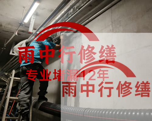 平顶山电缆线空洞堵漏加固案例