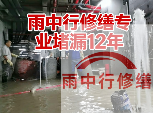 平顶山中国五矿某大型污水处理厂堵漏案例